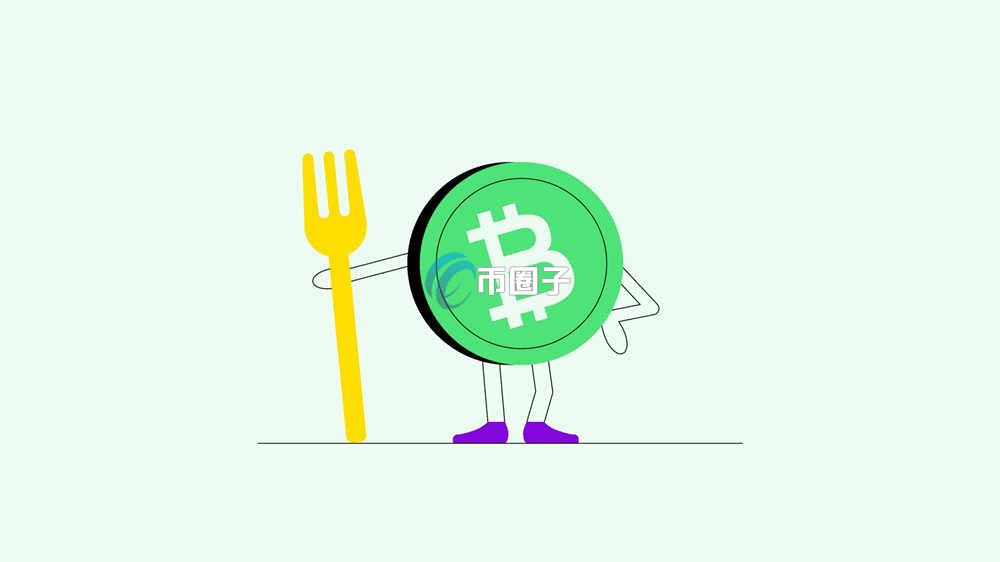 为什么BTC涨BCH不涨?BTC涨BCH不涨原因 为什么BTC涨BCH不涨?BTC涨BCH不涨原因