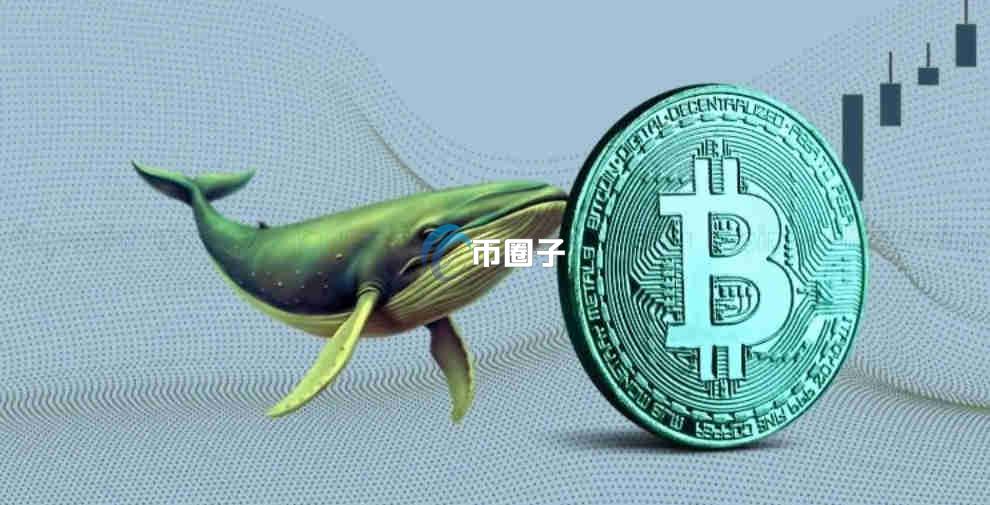 比特币鲸鱼地址是什么？通俗讲解比特币鲸鱼地址