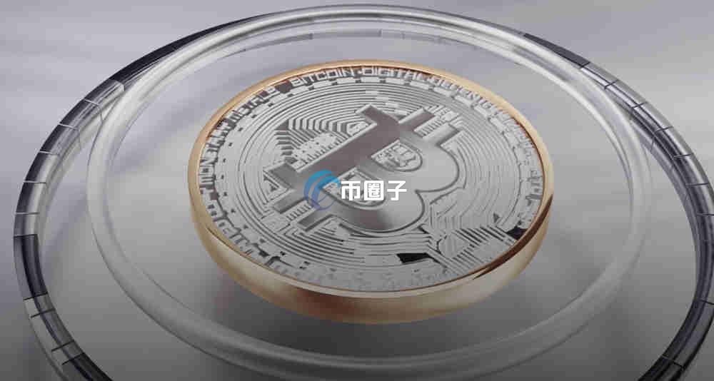 比特币市值占比走势图哪里看？怎么看？