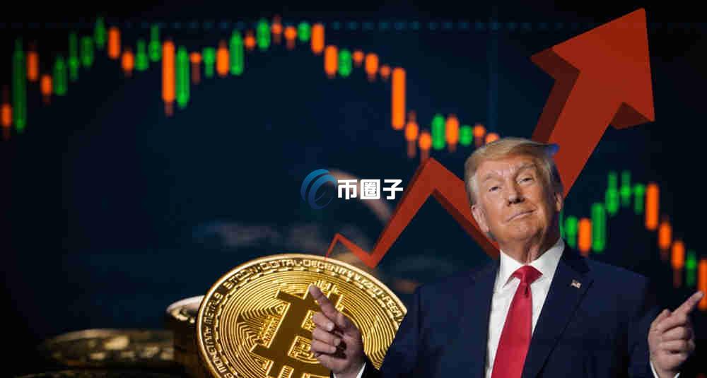 特朗普持有多少比特币？有公开持仓数据吗？