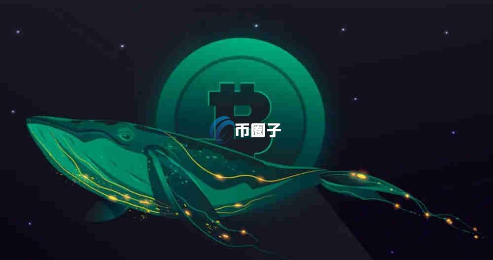 巨鲸会影响比特币的价格吗？
