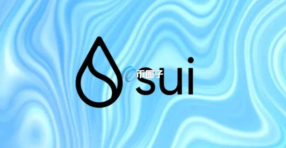 SUI币在未来会超越比特币吗？