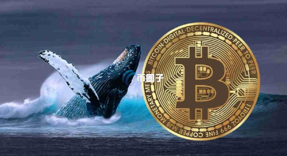 比特币鲸鱼地址是什么？通俗讲解比特币鲸鱼地址