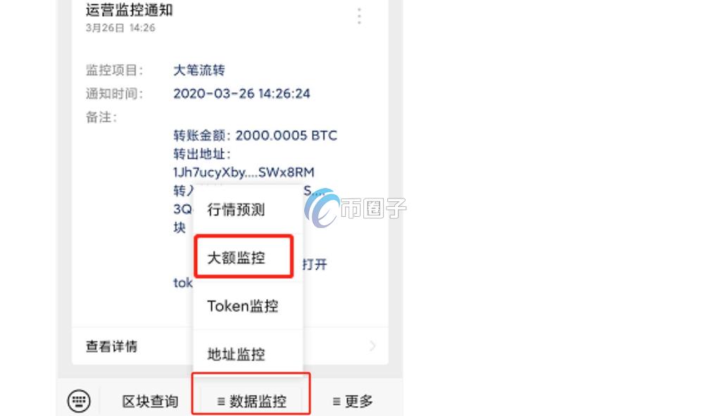 比特币巨鲸账户实时监控软件？