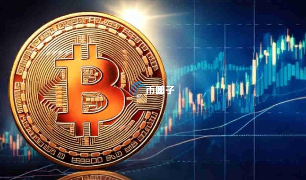 2025年拥有比特币最多的公司排名榜