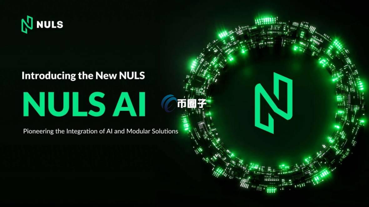 NULS币以后能涨到多少钱一个？