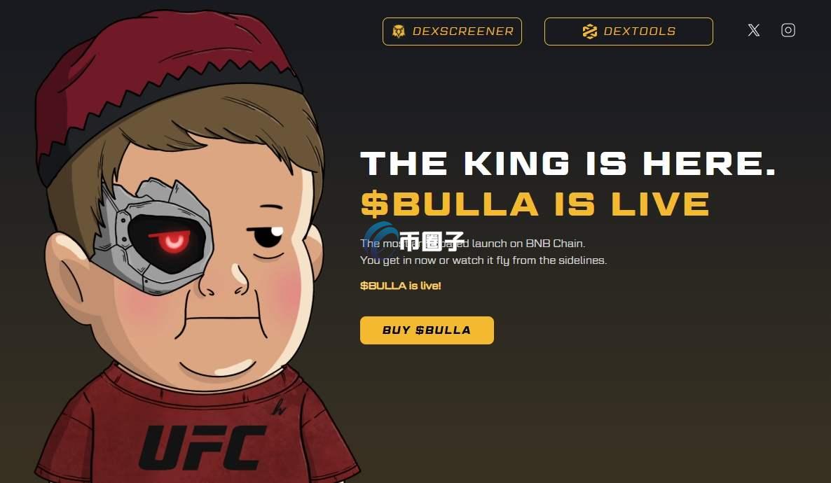 BULLA是什么币种？BULLA币有价值吗？