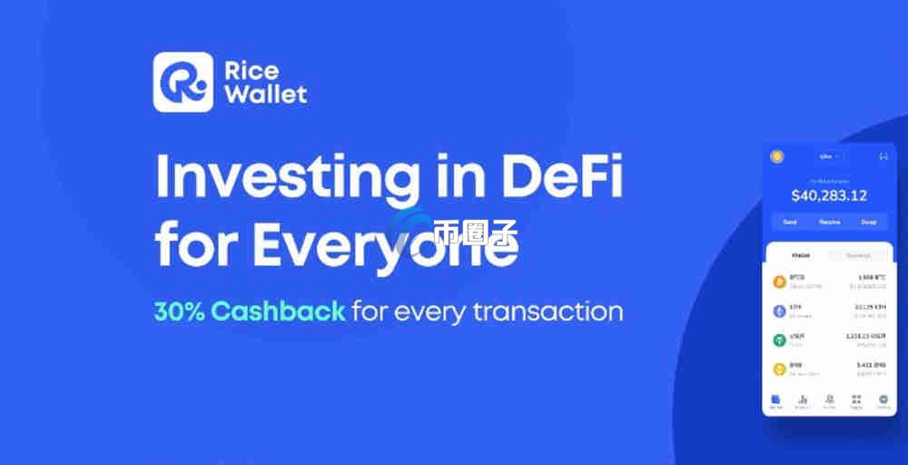 RICE是什么币种？RICE币价值如何？