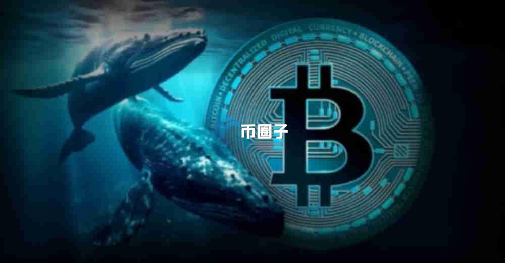 新币大跌是好事还是坏事？