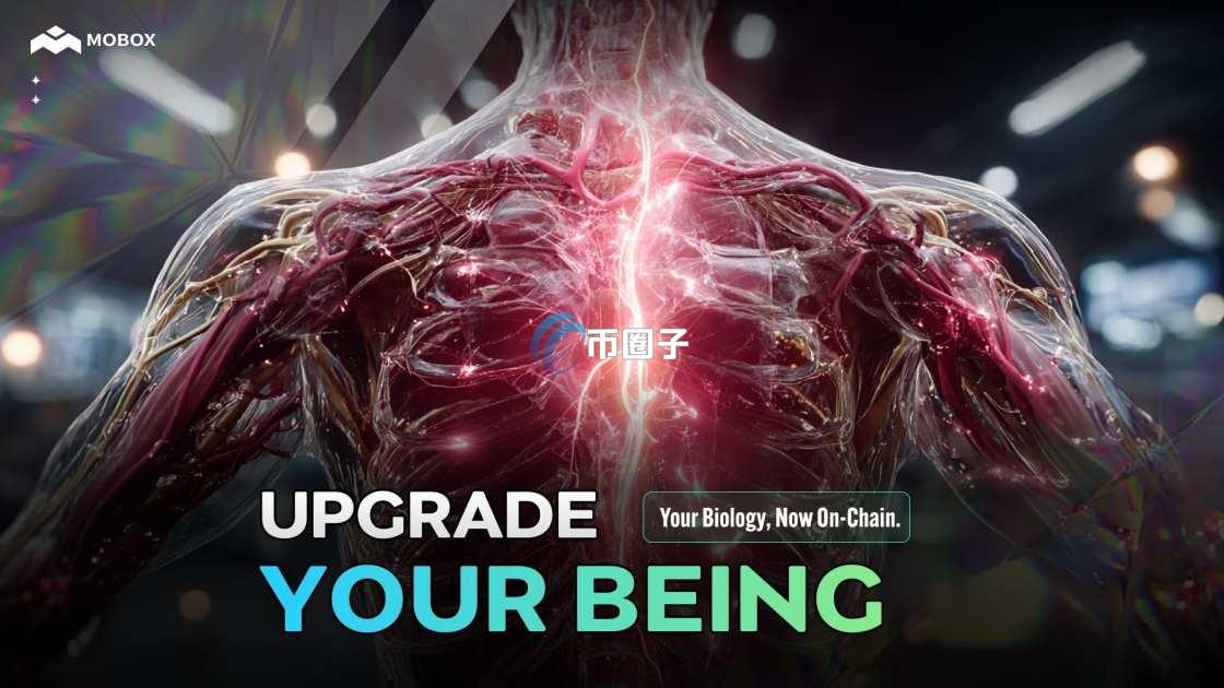 MBOX币的最大市值多少？MBOX币的最大市值介绍