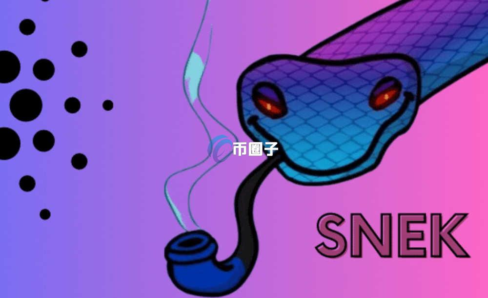 SNEK币可以买吗？SNEK币新手买卖交易教程