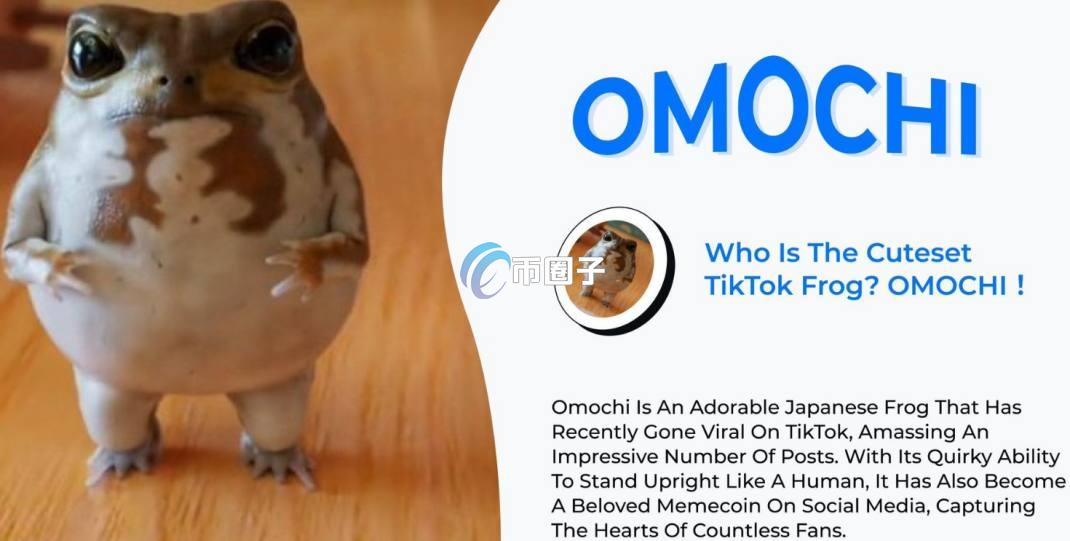 OMOCHI是什么币种？OMOCHI币全面介绍