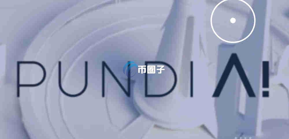 PUNDIAI是什么币种？PUNDIAI币有价值吗？