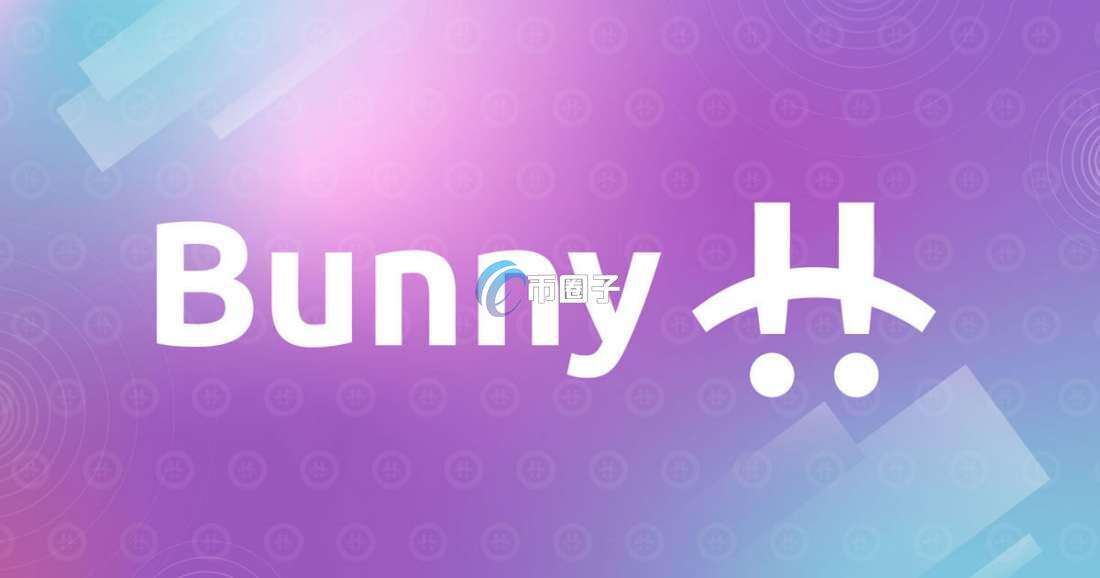 BUNNY是什么币种？BUNNY币怎么样？