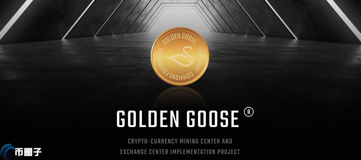 GOLD是什么币种？GOLD/黄金鹅币全面介绍