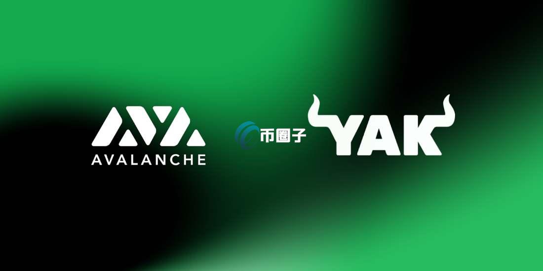 雪崩协议的币有哪些？Avalanche生态项目盘点