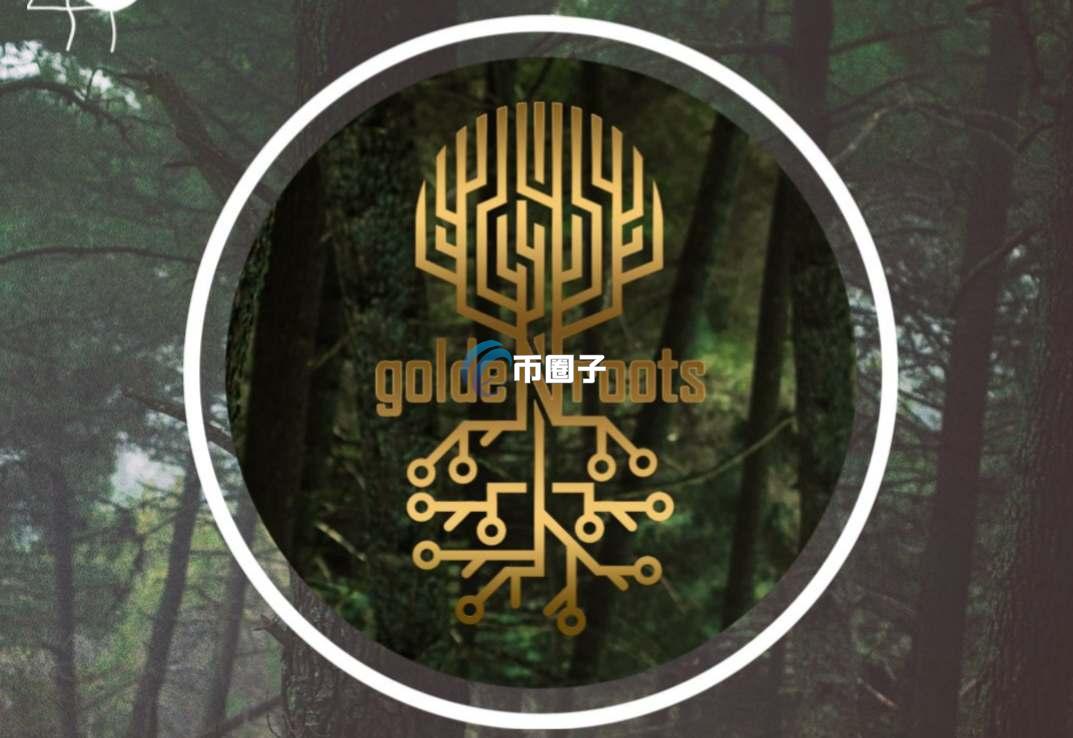 GDR是什么币种？GDR币前景怎么样？