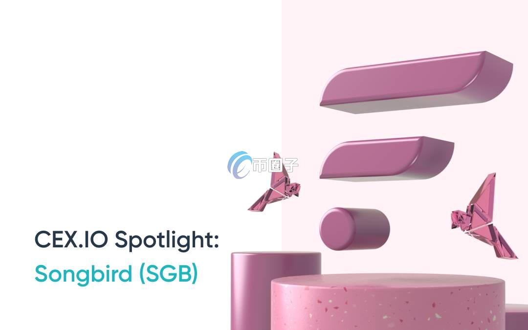 SGB币价格有机会涨吗？SGB币未来价格预测