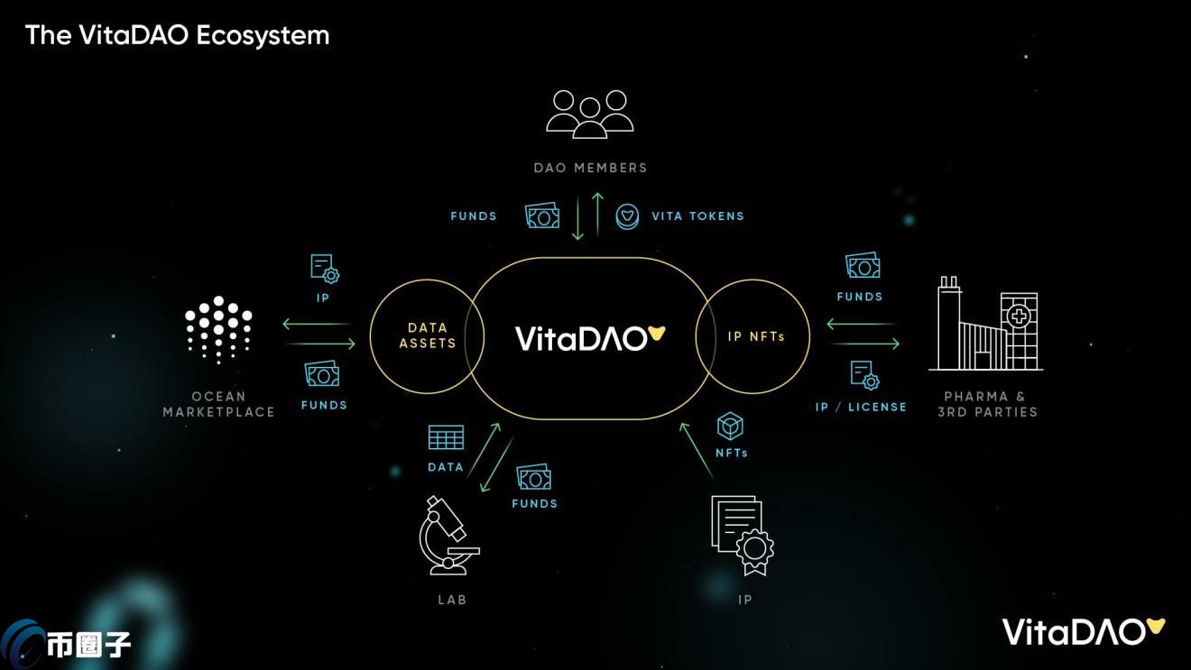 VITA币最新价格和发行价格是多少？