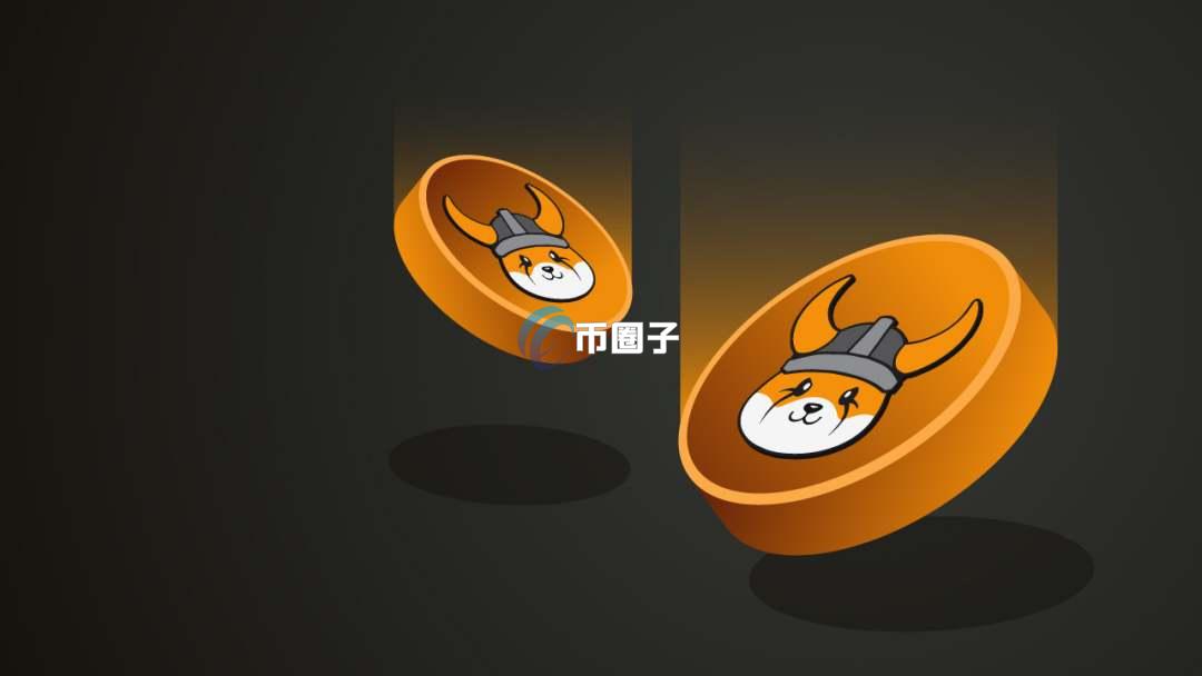 FLOKI币已经多少倍了？有可能万倍吗？