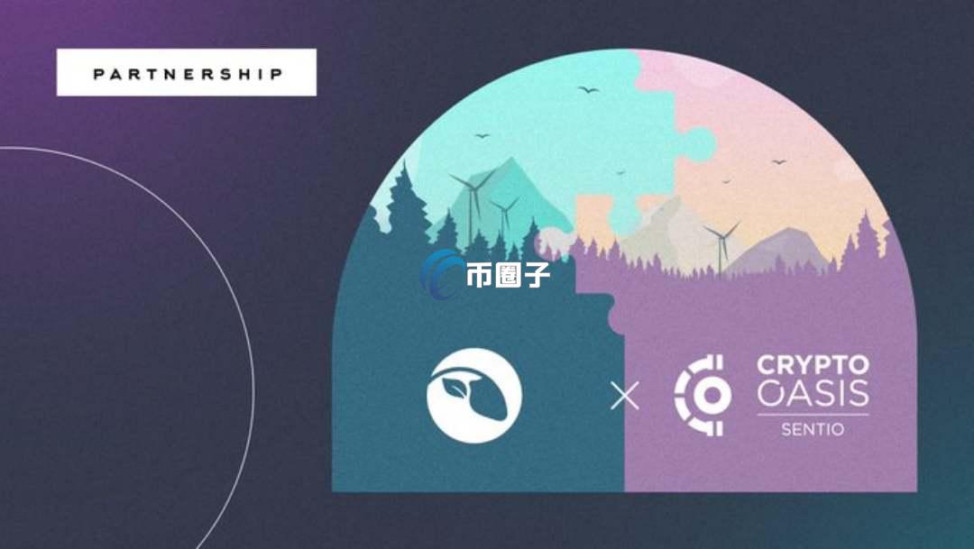 ENRX是什么币种？ENRX币怎么样？