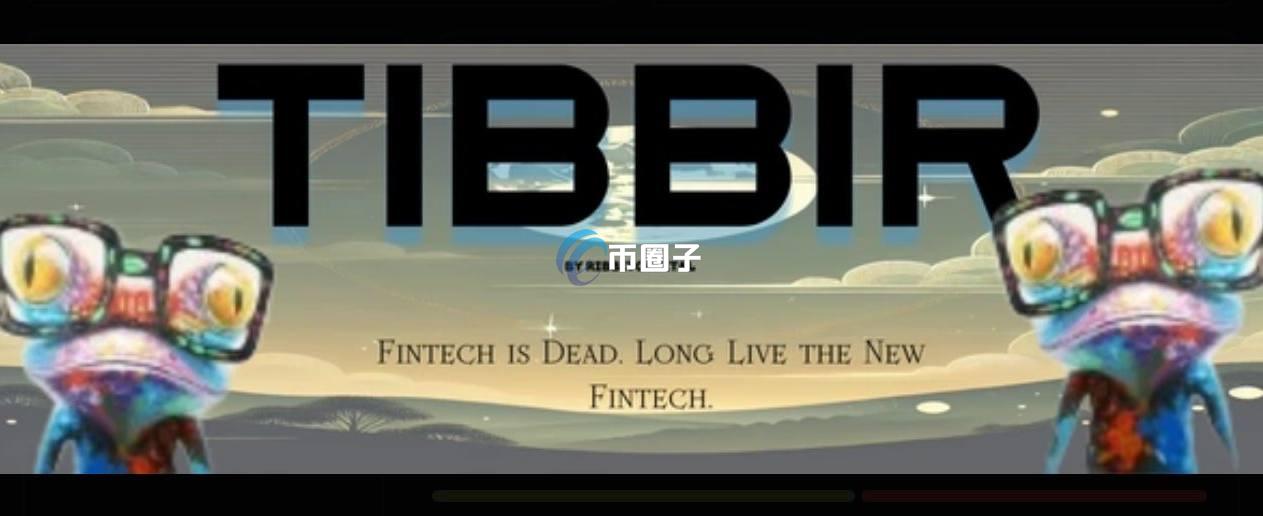 TIBBIR币多少钱一个？TIBBIR币未来价格能涨吗？