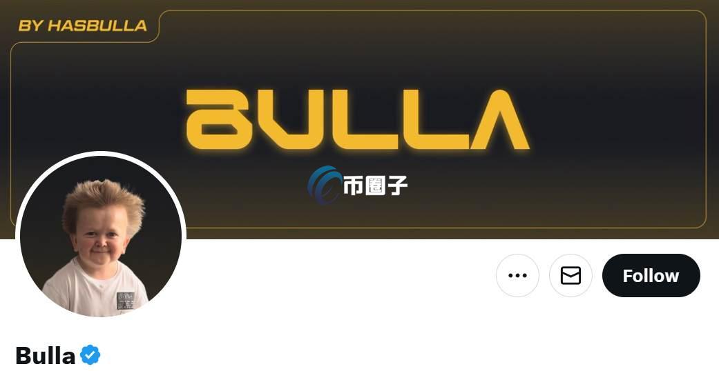 BULLA是什么币种？BULLA币有价值吗？