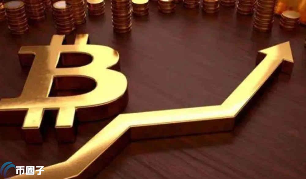 币圈龙头币是什么意思？一文读懂币圈龙头币