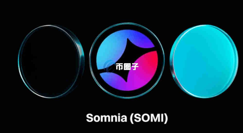 SOMI币和索拉娜哪个速度更快？