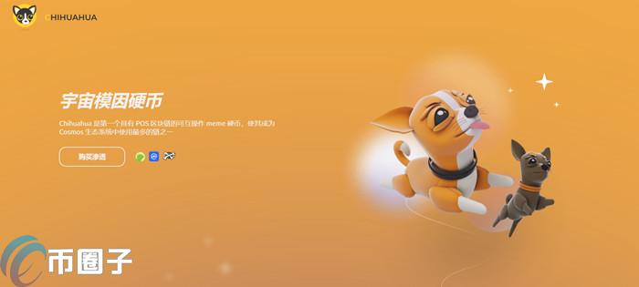 HUAHUA是什么币种？一文了解HUAHUA币