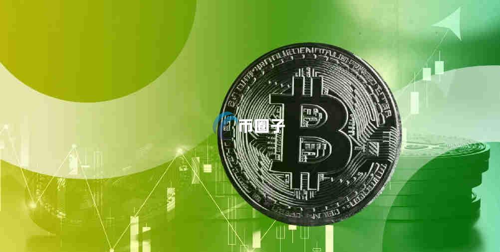 通俗讲解虚拟币停盘是什么原因？