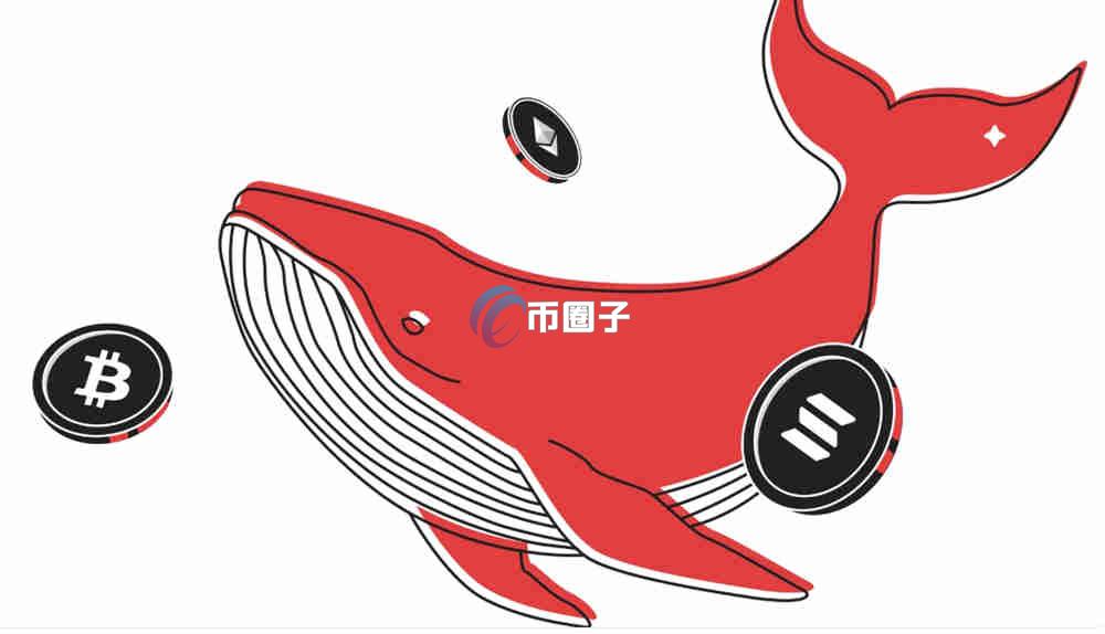 防巨鲸币未来会升值吗？