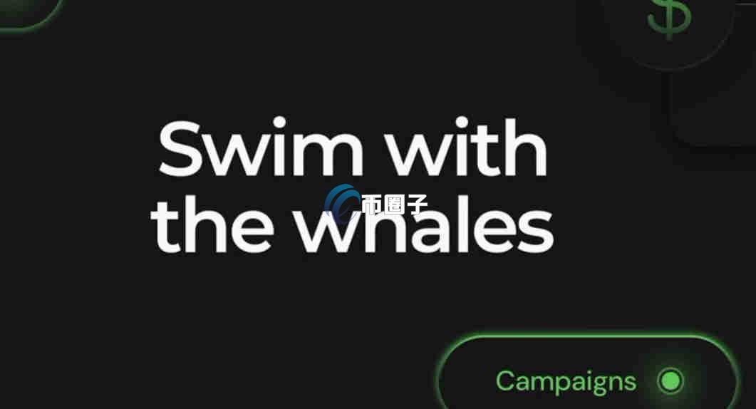 TURTLE是什么币种？TURTLE币值得投资吗？