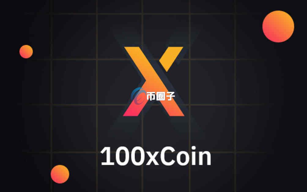 100X币是资金盘吗？未来会暴涨吗？