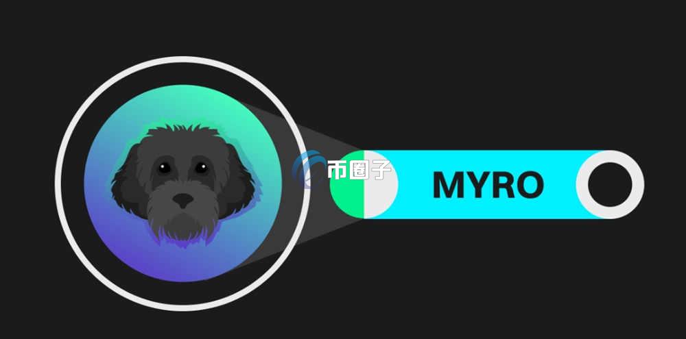 MYRO币是龙头吗？MYRO币未来前景分析