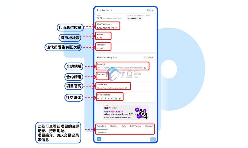 如何查询持币地址数量？持币地址明细查询指南