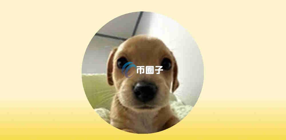 BILLY币怎么买？BILLY币买卖交易详细教程图文版