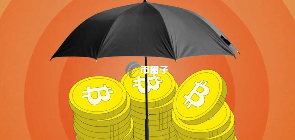 怎么查一个币有没有实力？从零开始查币指南