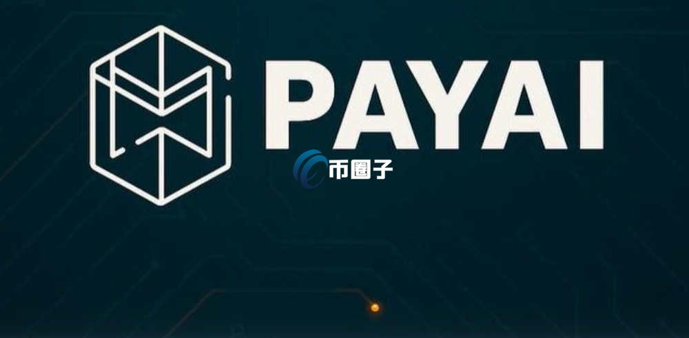 PAYAI是什么币种?PAYAI币有投资价值吗? PAYAI是什么币种?PAYAI币有投资价值吗?