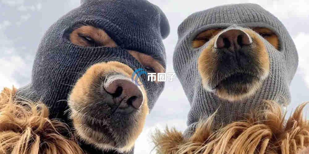 SKI币会不会是千倍币？SKI币未来价格预测