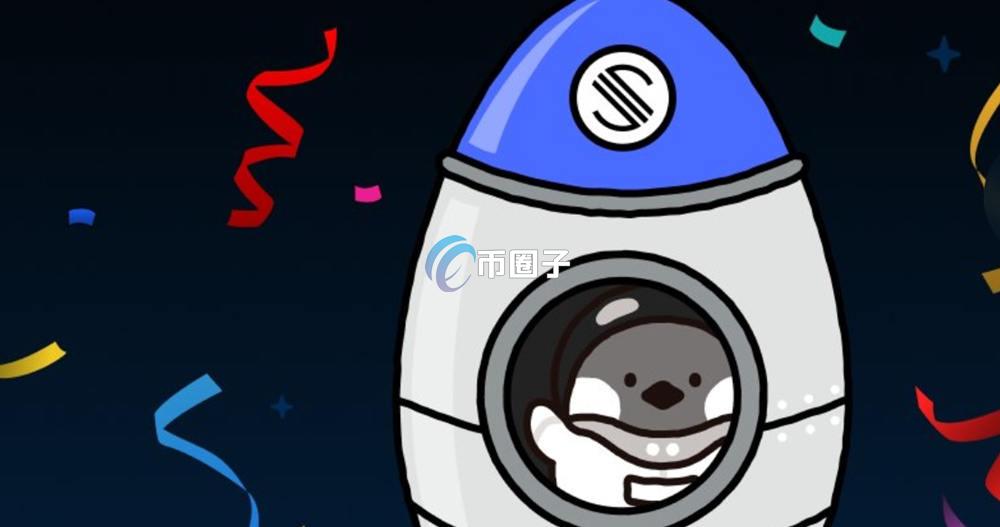 SPACE币是马斯克的吗？SPACE币项目方介绍