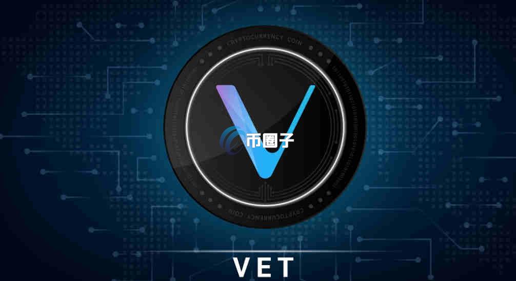 VET币有投资价值吗？VET币2026年能涨到多少？