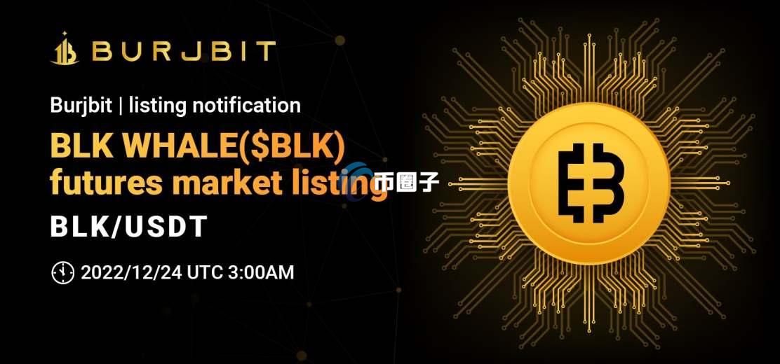 BLK是什么币？BLK币未来投资价值分析