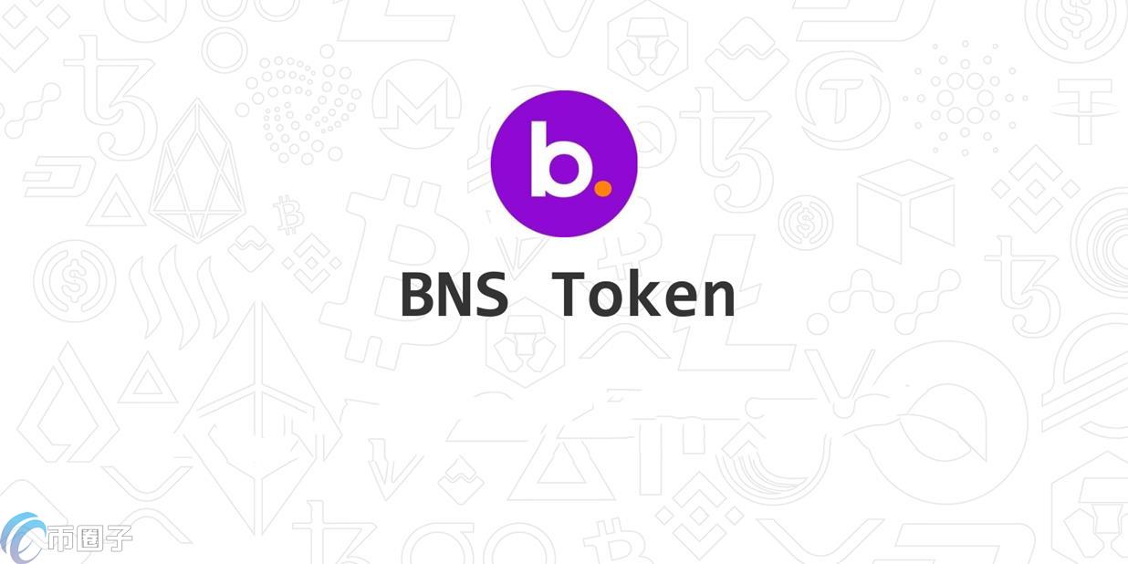 BNS是什么币种？BNS币官网、总量和上线交易所介绍