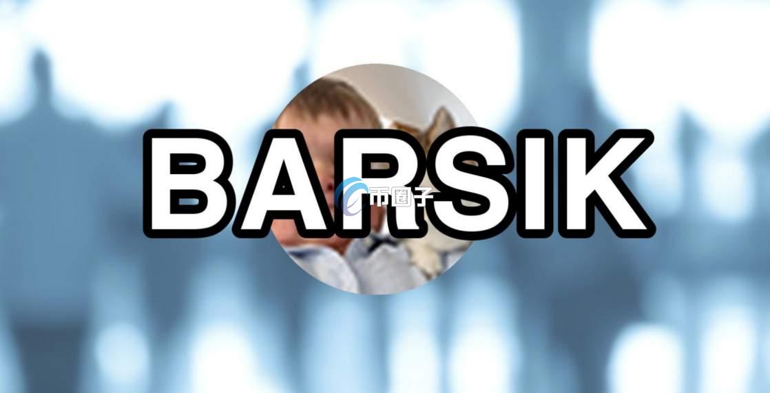 BARSIK是什么币种?BARSIK币有价值吗? BARSIK是什么币种?BARSIK币有价值吗?