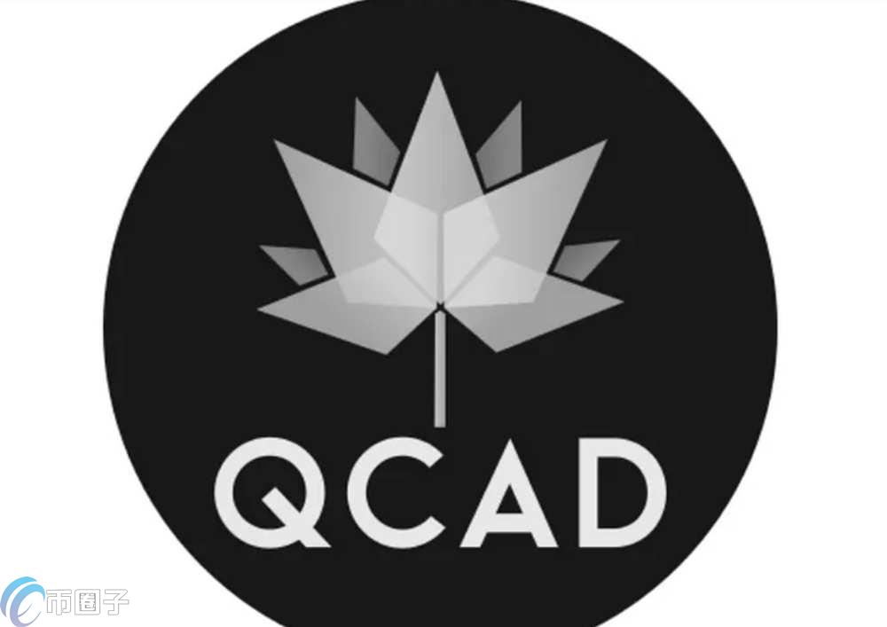 QCDA币是什么币种？QCDA币全面介绍