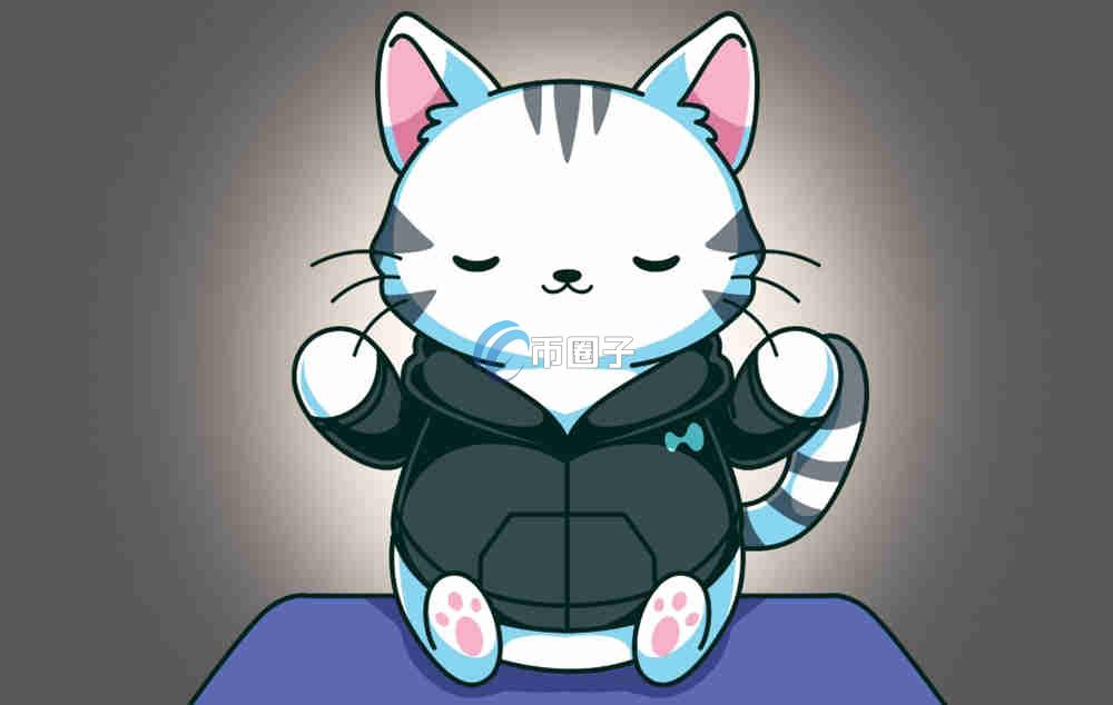 PURR是什么币种？PURR币可以投资吗？