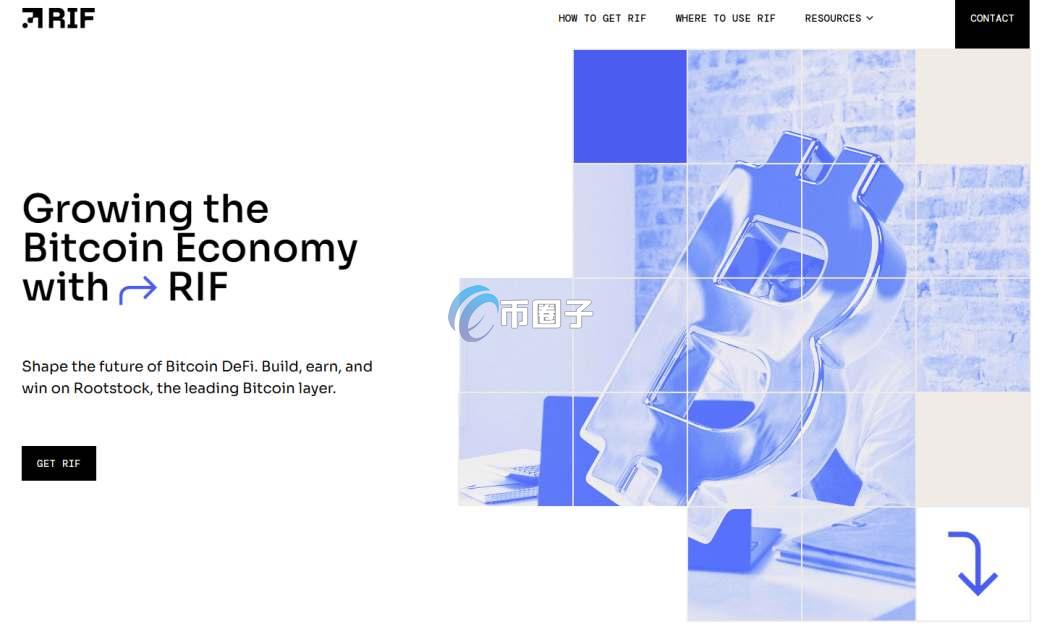 RIF币能涨到1美元吗？