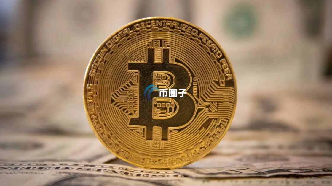 买币怎么看哪个能涨？