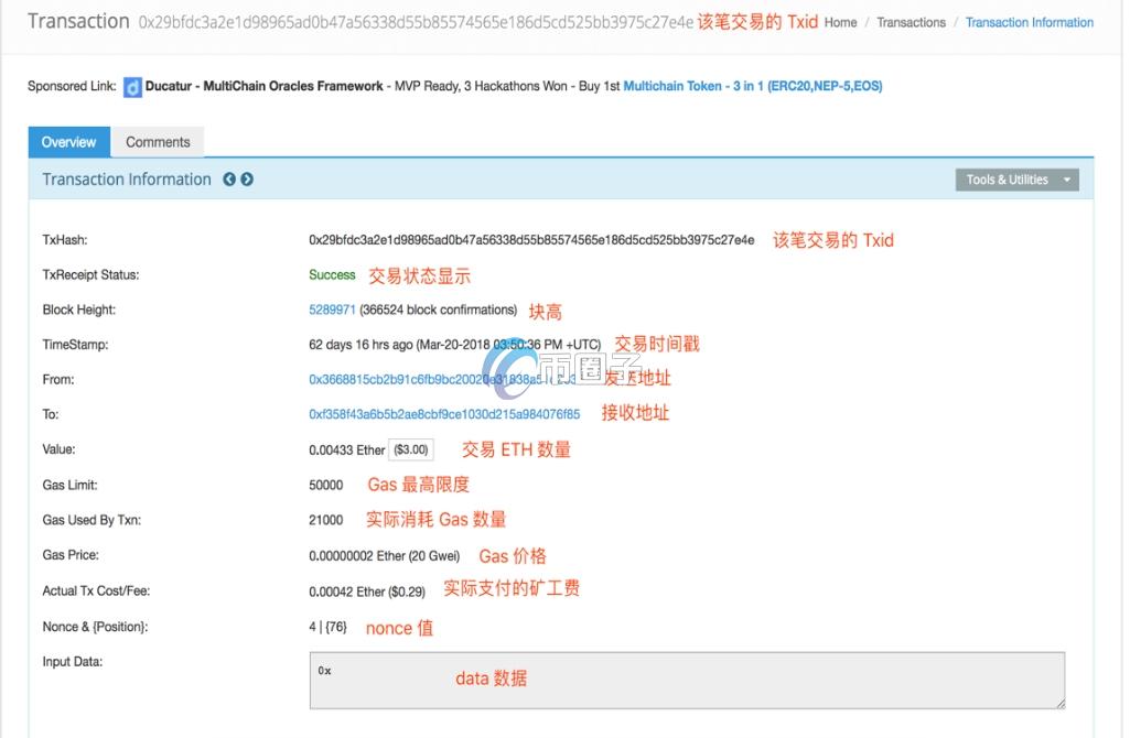 怎么查一个币种的持币数量？持币数量查询实操教程